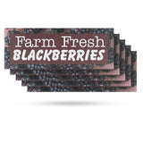 Farm Fresh Blackberries