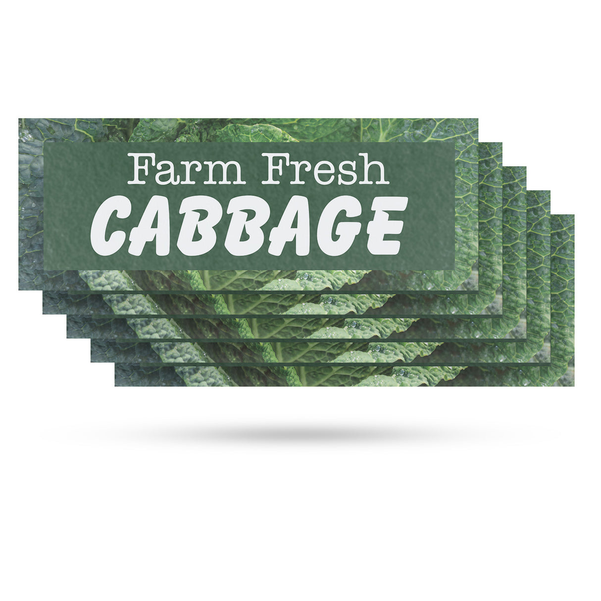 Farm Fresh Cabbage