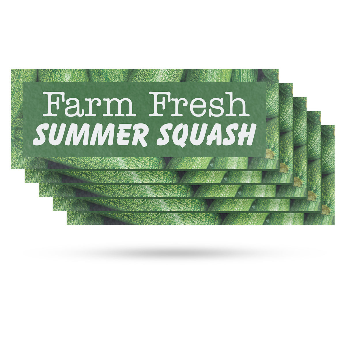 Farm Fresh Summer Squash