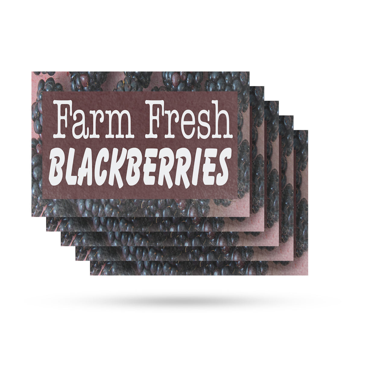 Farm Fresh Blackberries