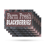 Farm Fresh Blackberries