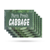 Farm Fresh Cabbage