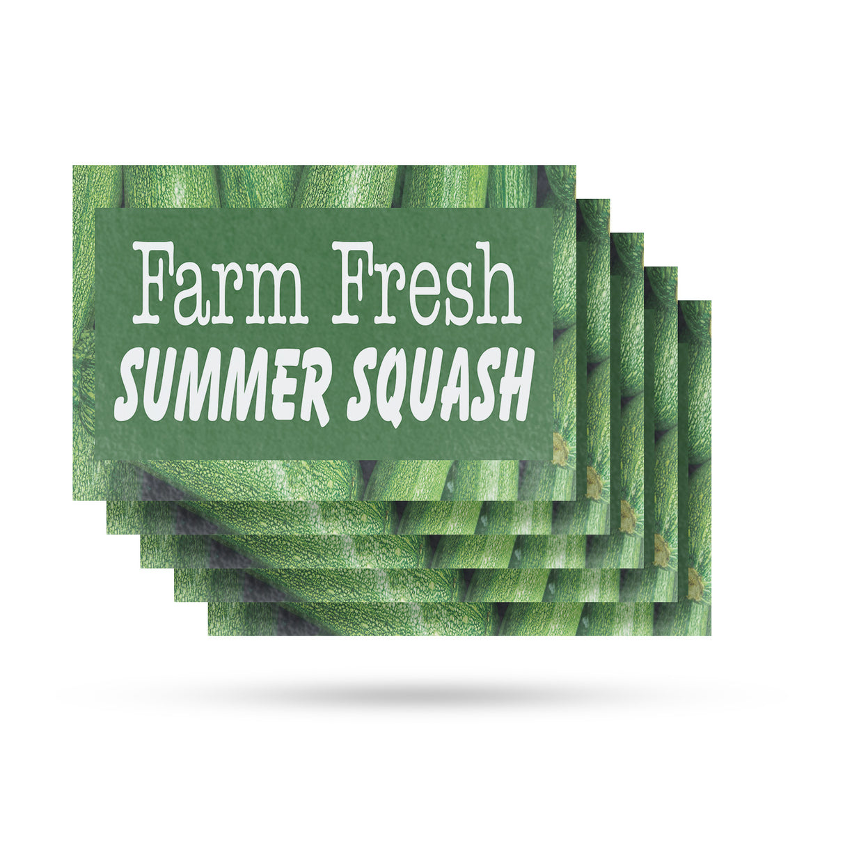 Farm Fresh Summer Squash