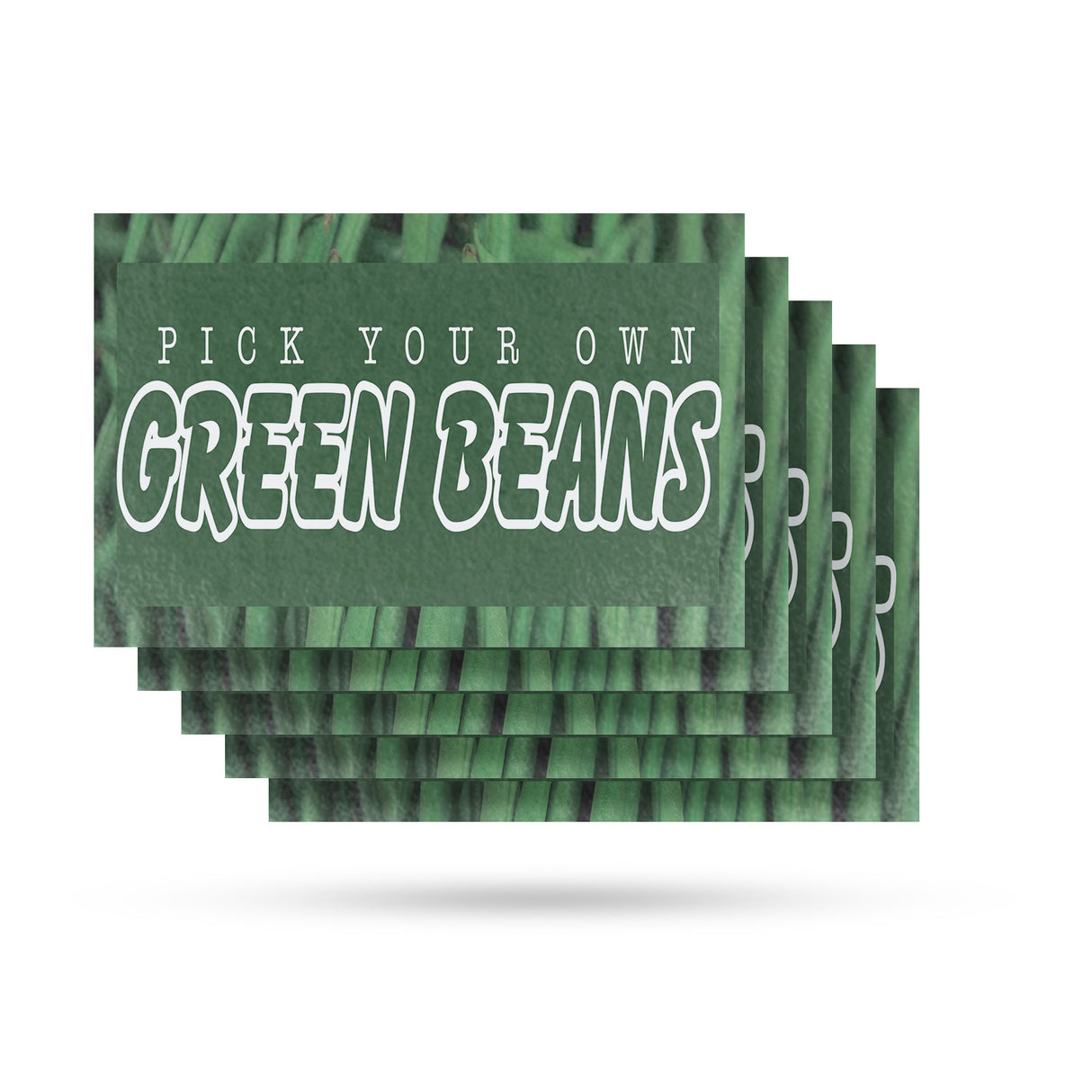 Pick Your Own Green Beans
