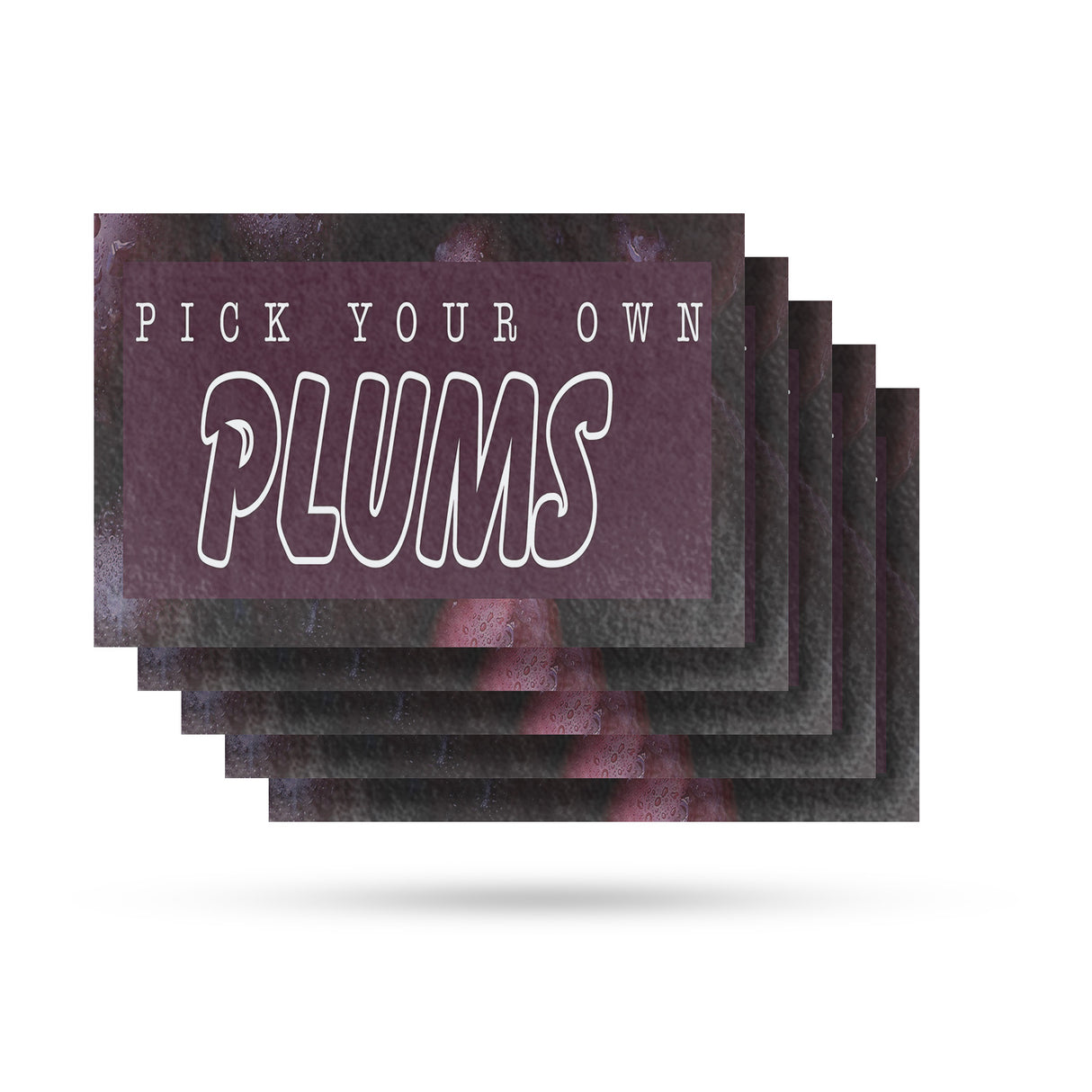 Pick Your Own Plums