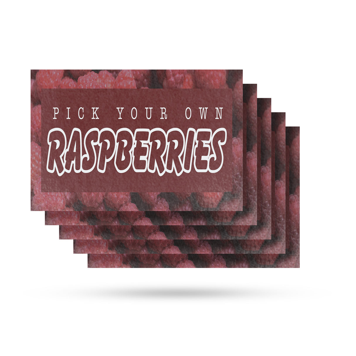 Pick Your Own Raspberries