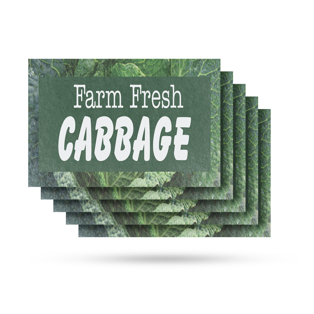 Farm Fresh Cabbage