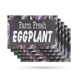Farm Fresh Eggplant