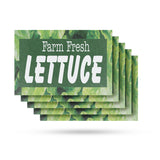 Farm Fresh Lettuce