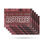 Pick Your Own Raspberries