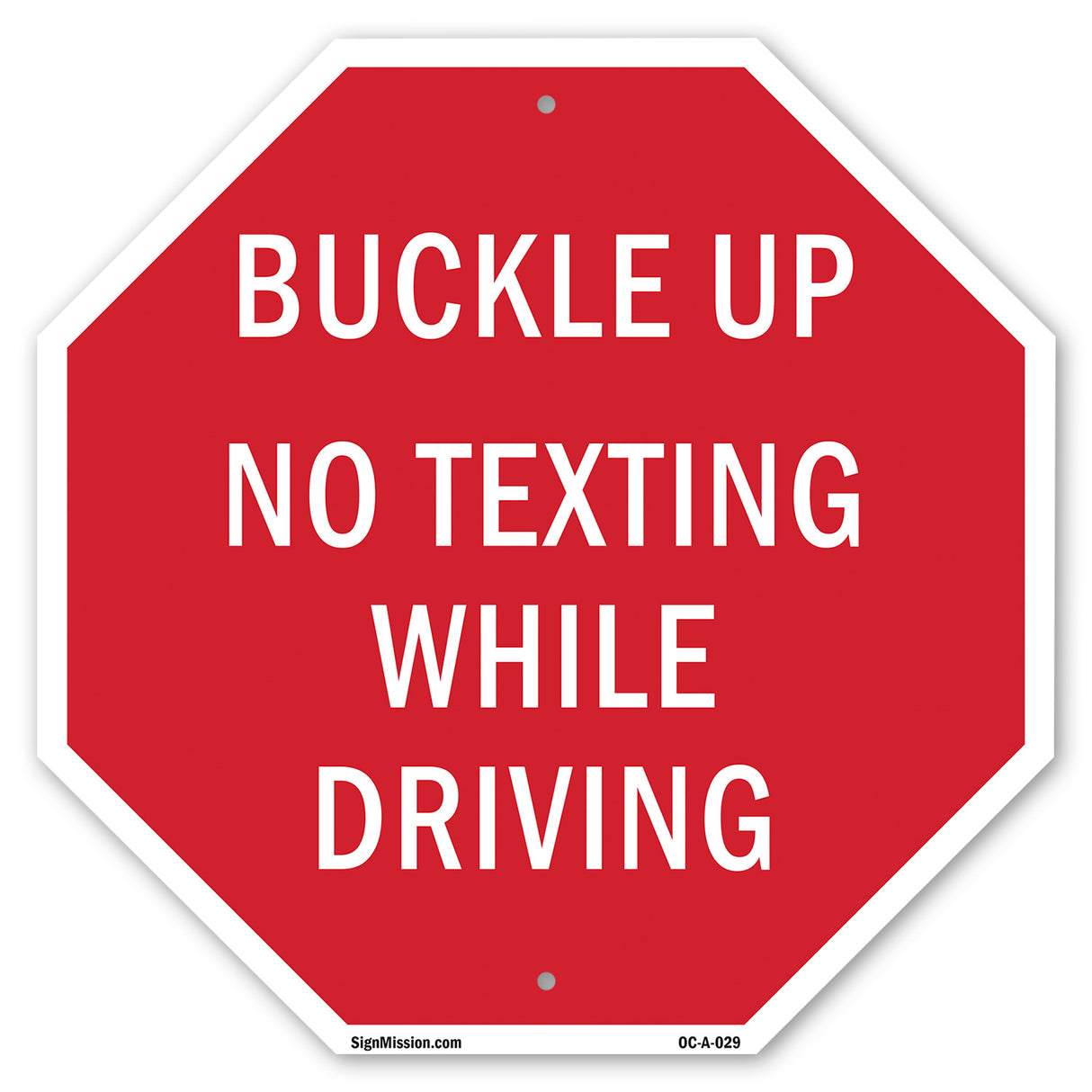 Buckle Up No Texting While Driving