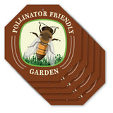 Pollinator Friendly Garden