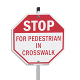 Stop For Pedestrian in Crosswalk