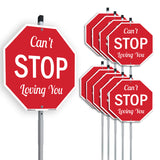 Can't Stop Loving You