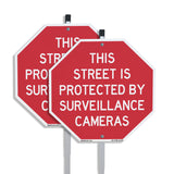 This Street Is Protected by Surveillance Cameras