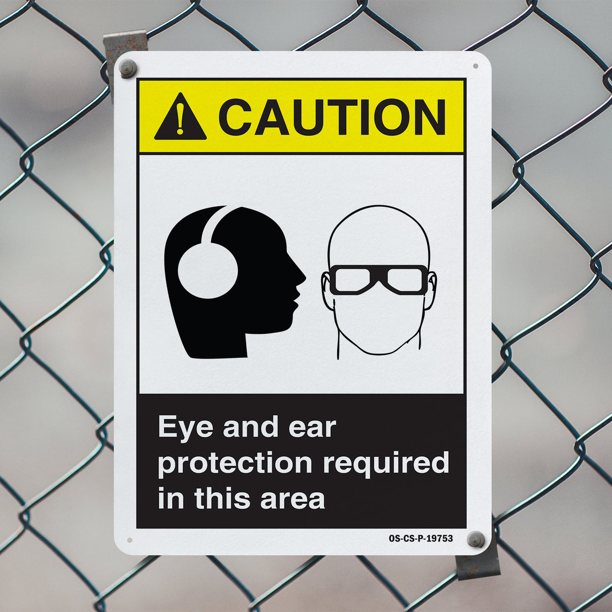 Eye And Ear Protection