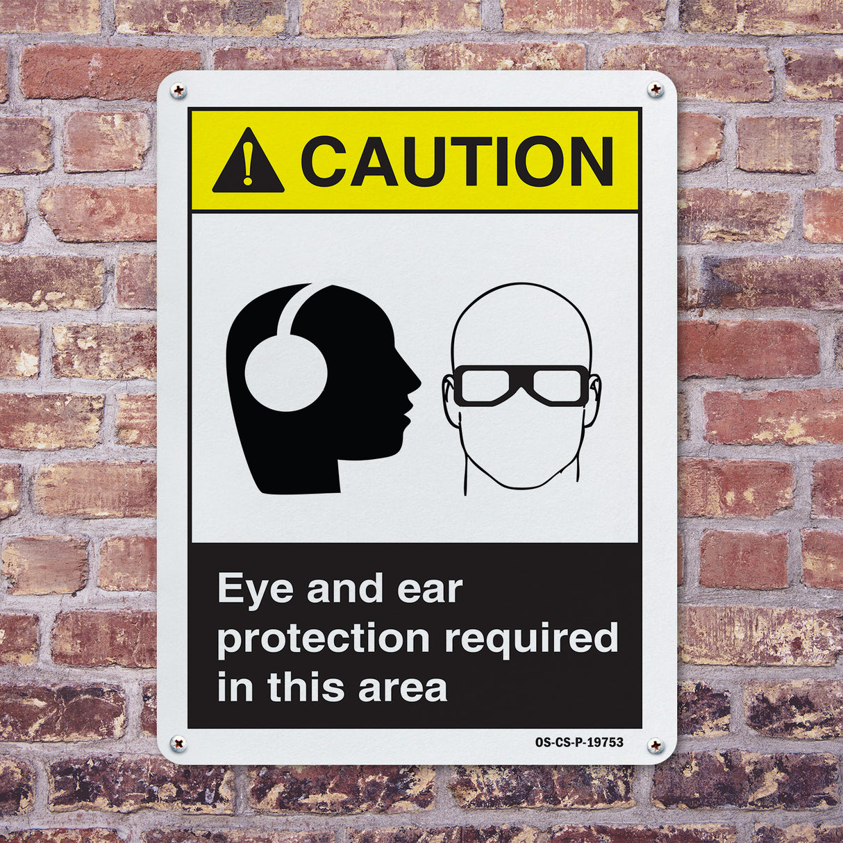 Eye And Ear Protection