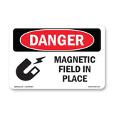Magnetic Field In Place