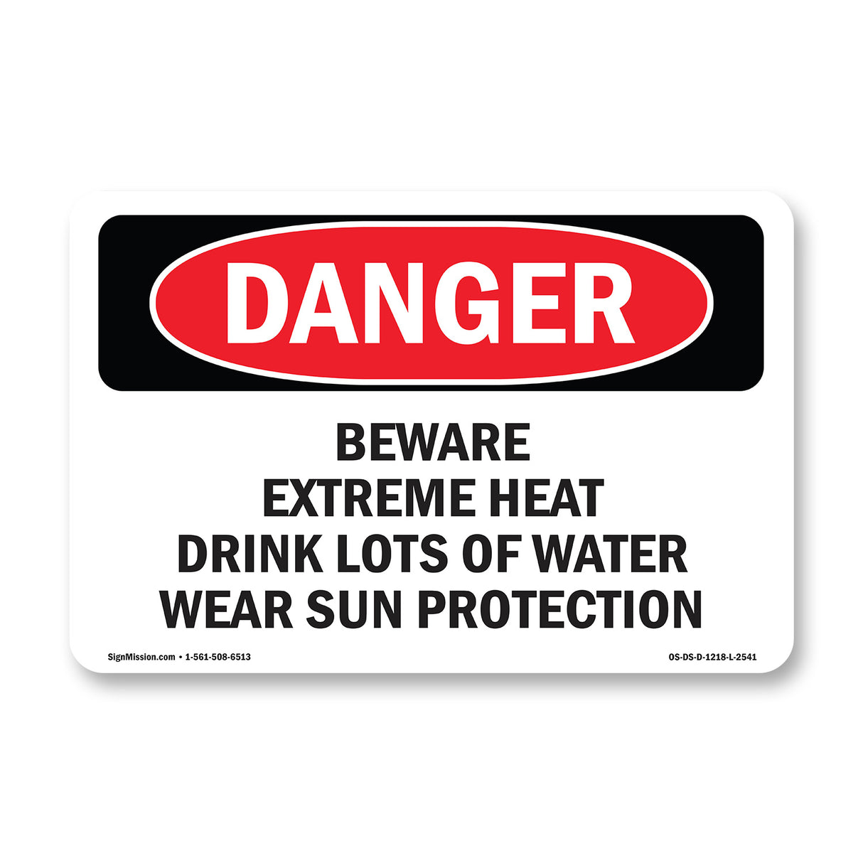 Do Not Access High Voltage