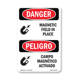 Magnetic Field In Place