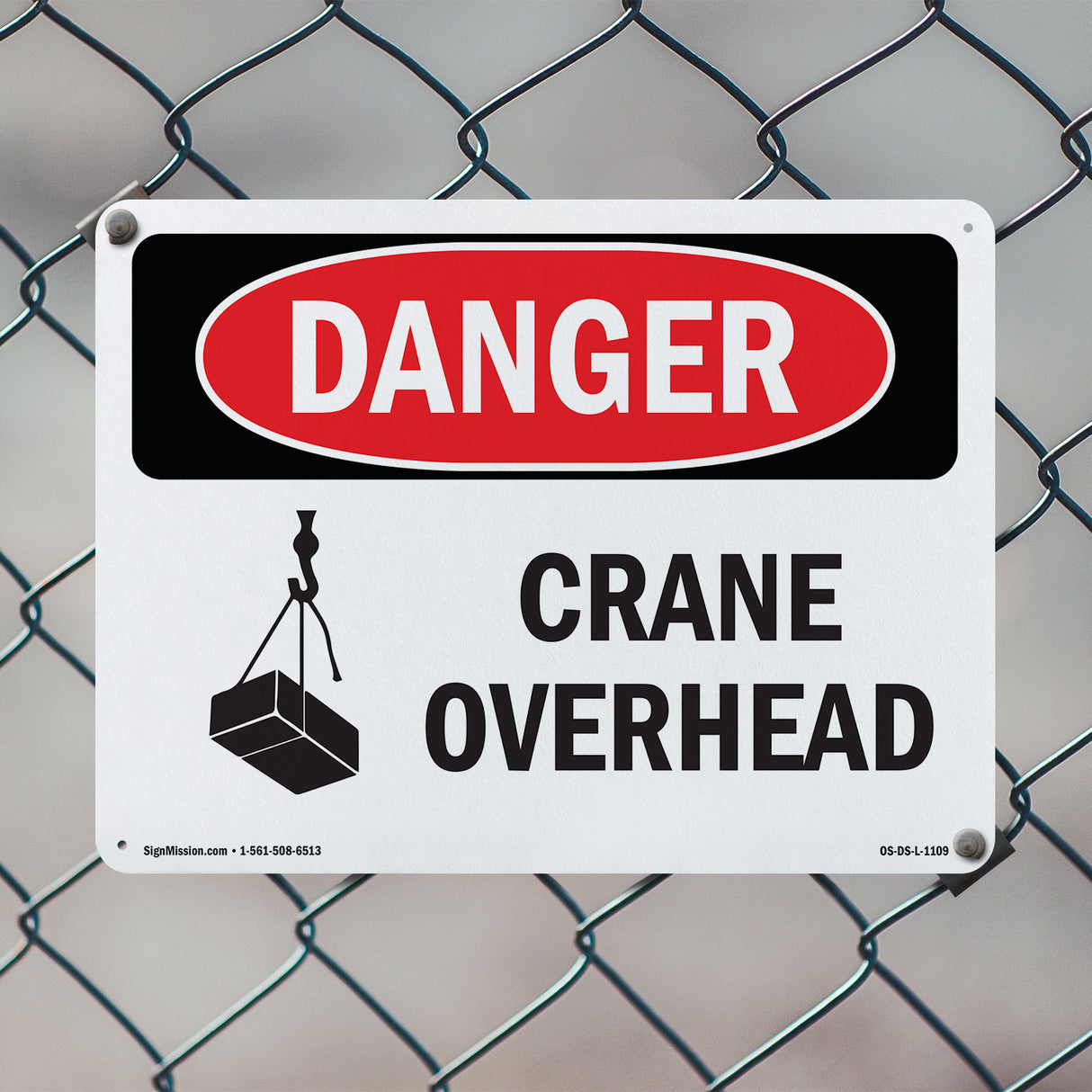 Crane Overhead