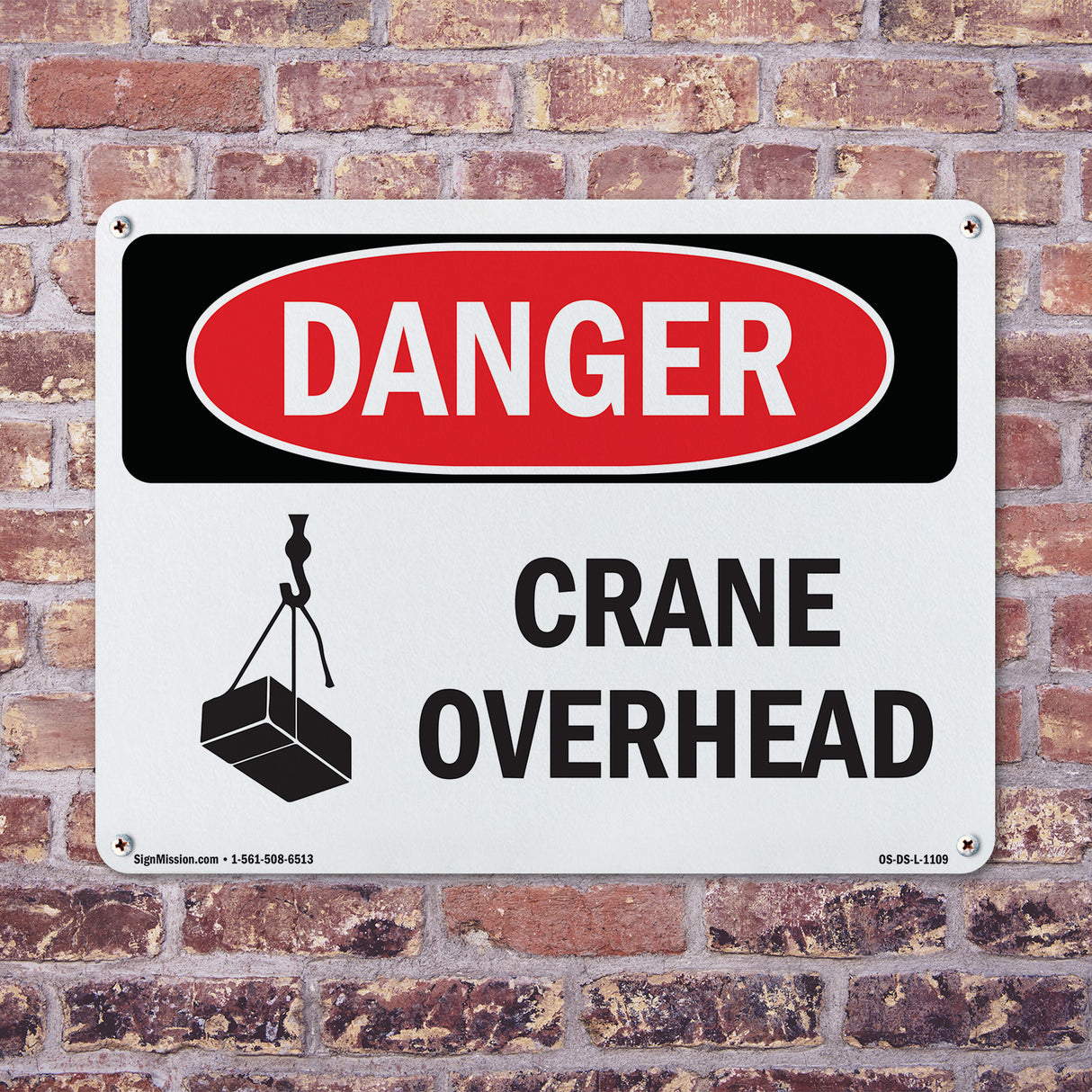 Crane Overhead