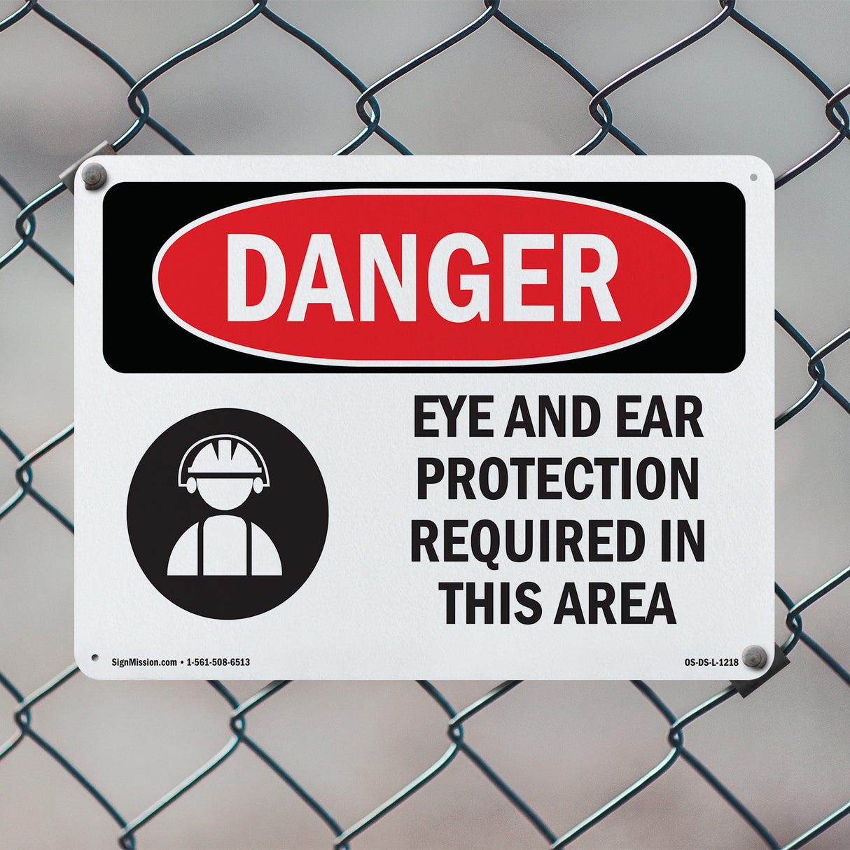 Eye And Ear Protection Required In This Area