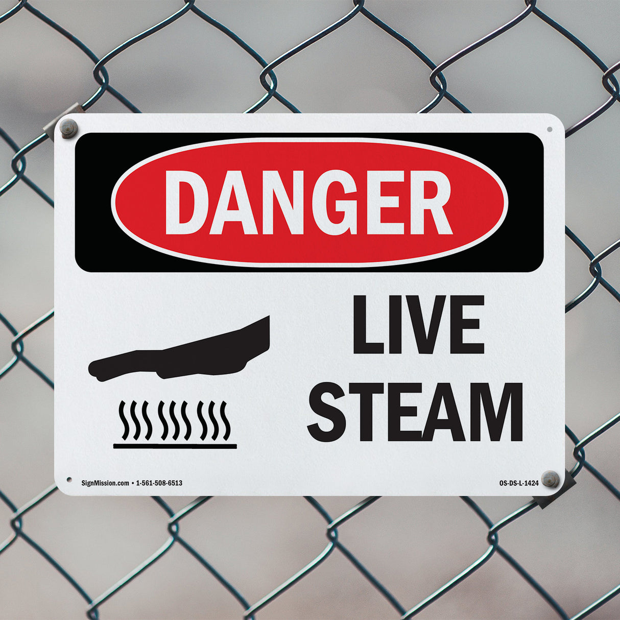 Live Steam