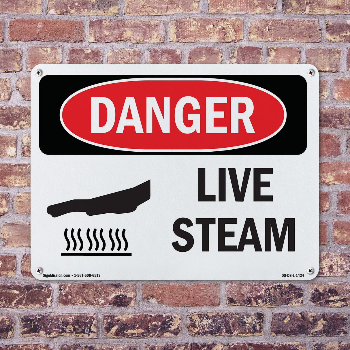 Live Steam