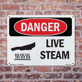 Live Steam