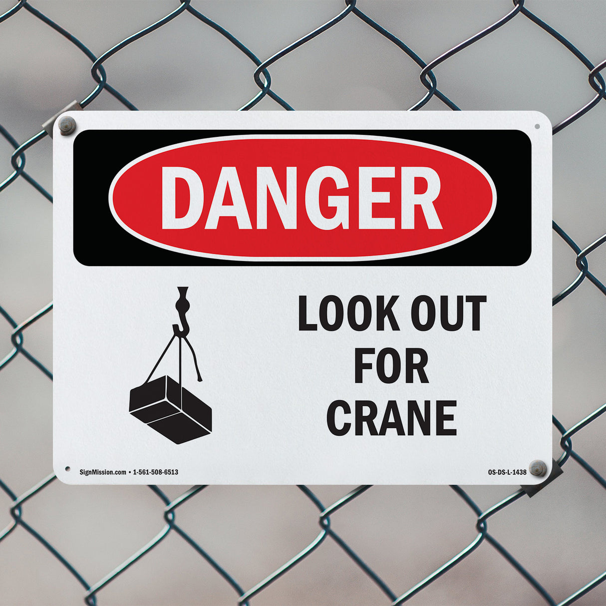 Look Out For Crane