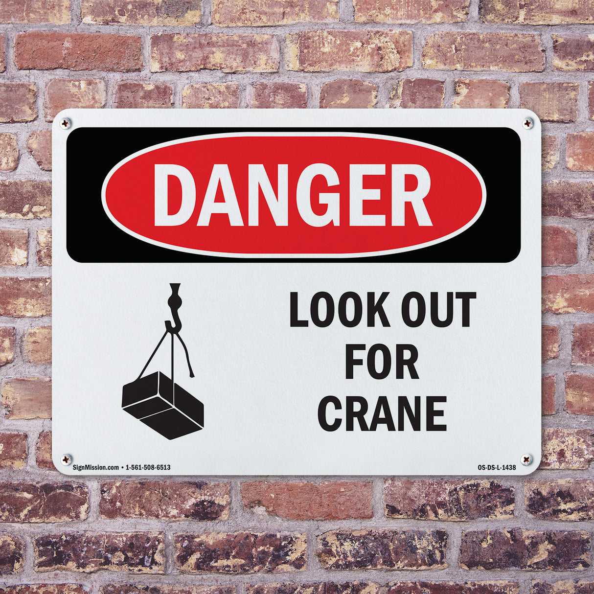 Look Out For Crane