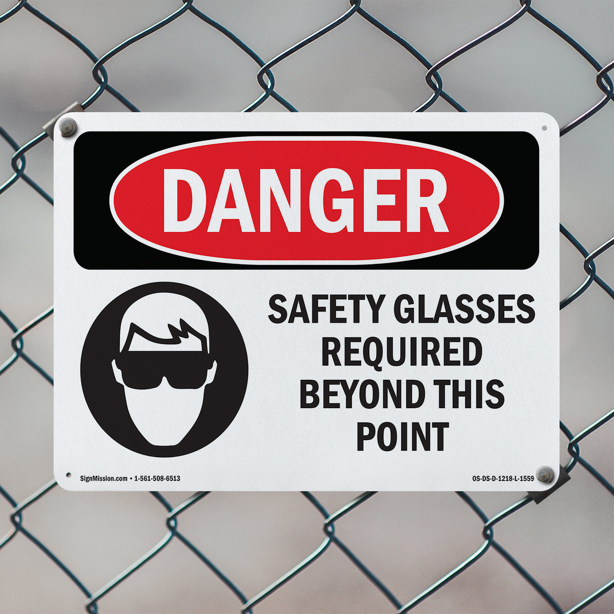 Safety Glasses Required Beyond This Point