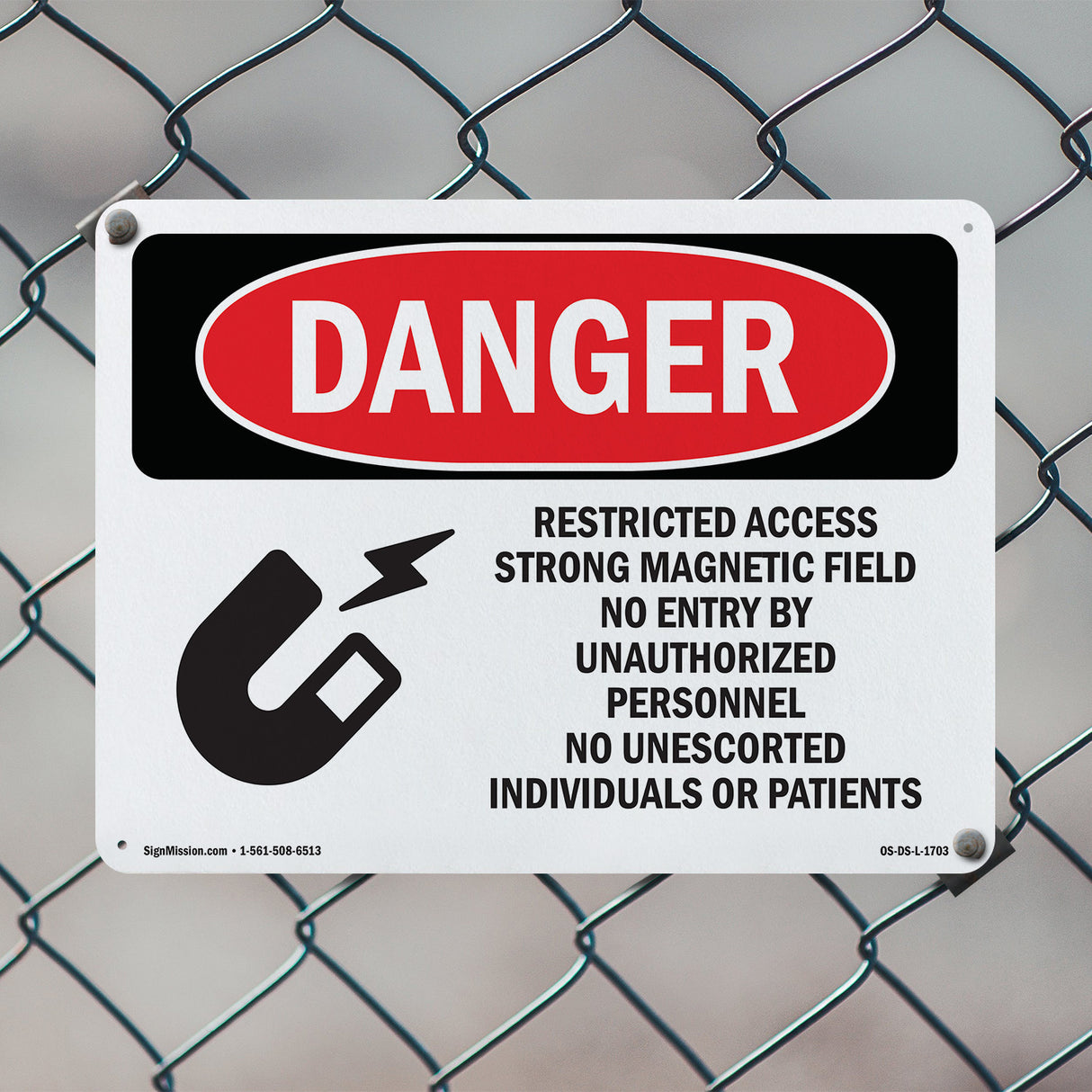Restricted Access