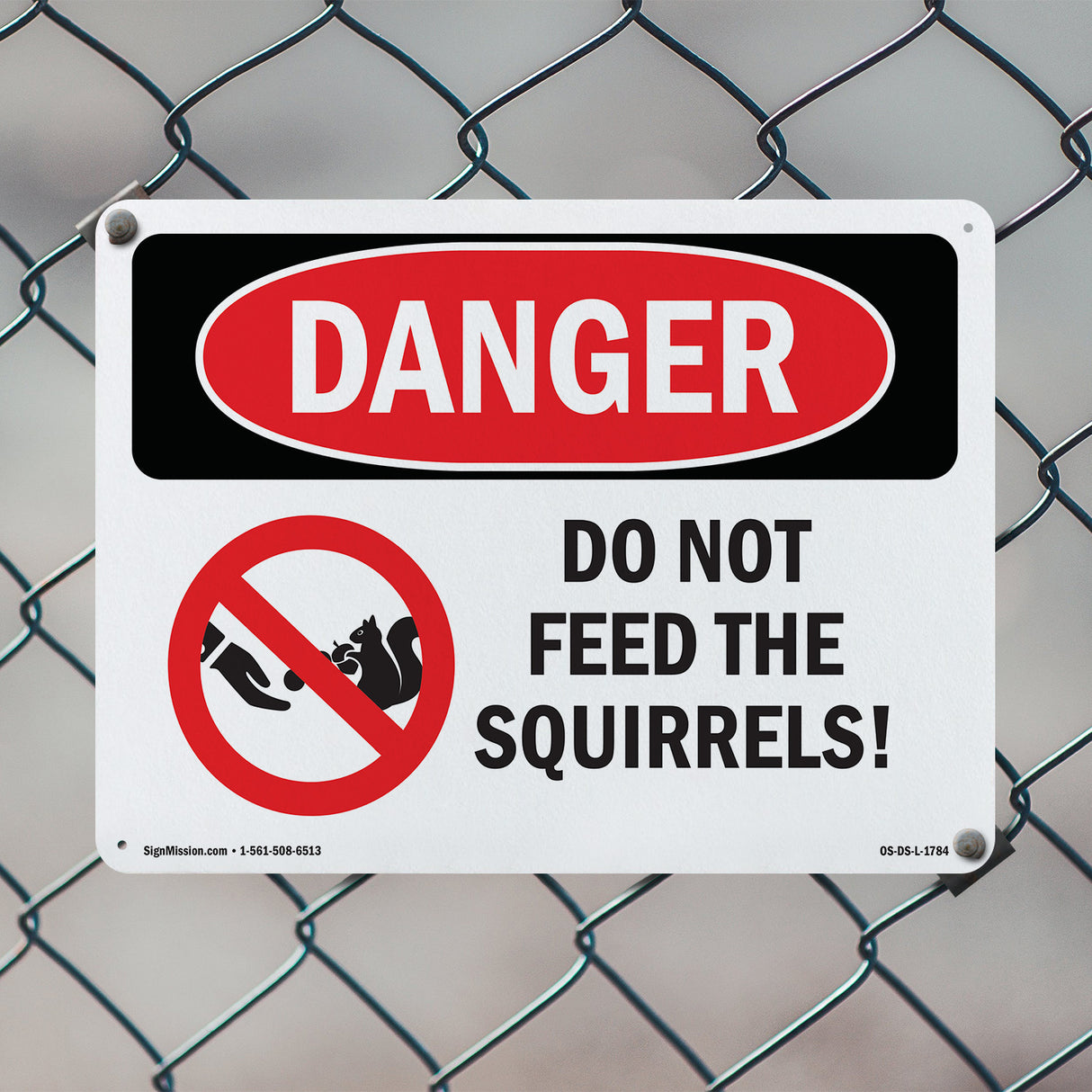 Do Not Feed The Squirrels!