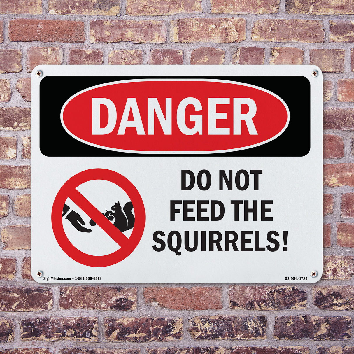 Do Not Feed The Squirrels!
