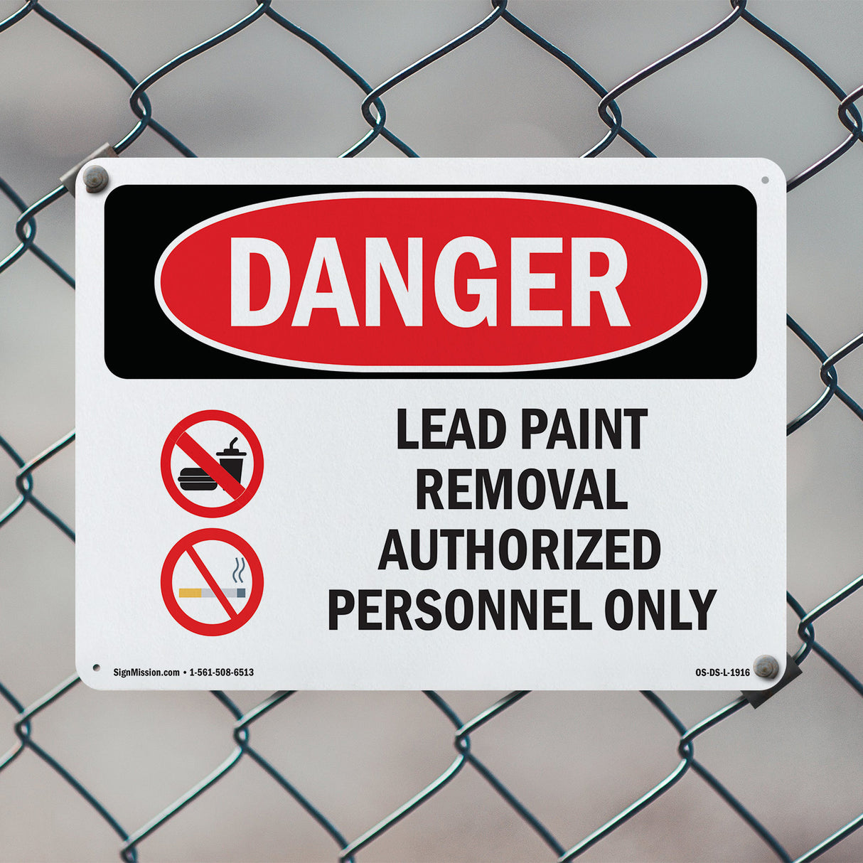 Lead Paint Removal Authorized