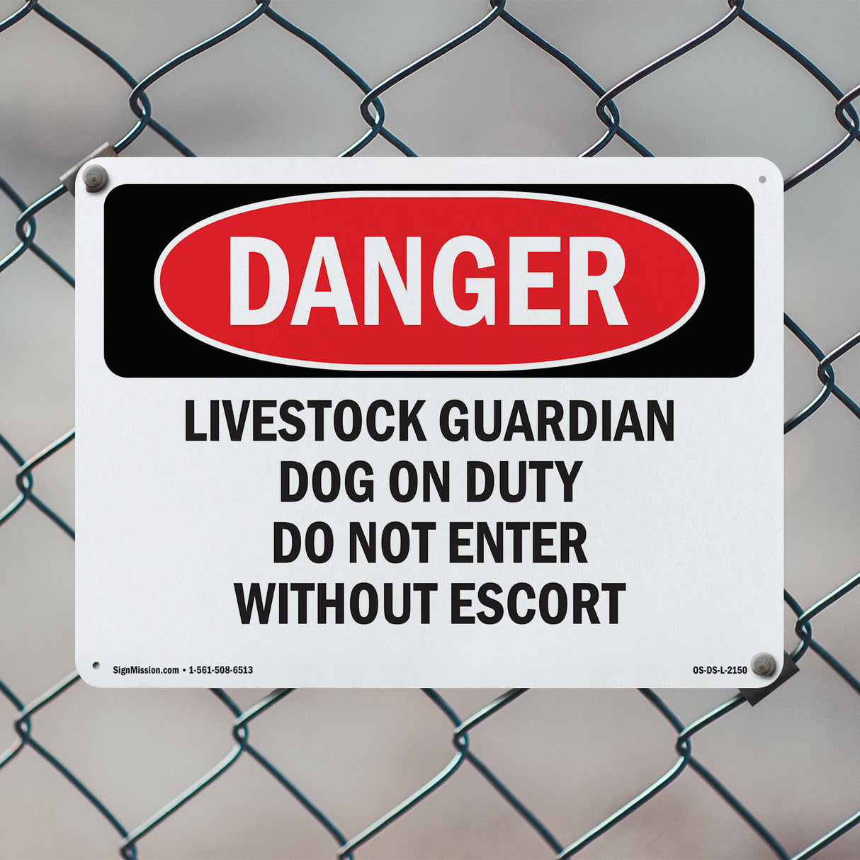 Livestock Guardian Dog On Duty Do Not Enter