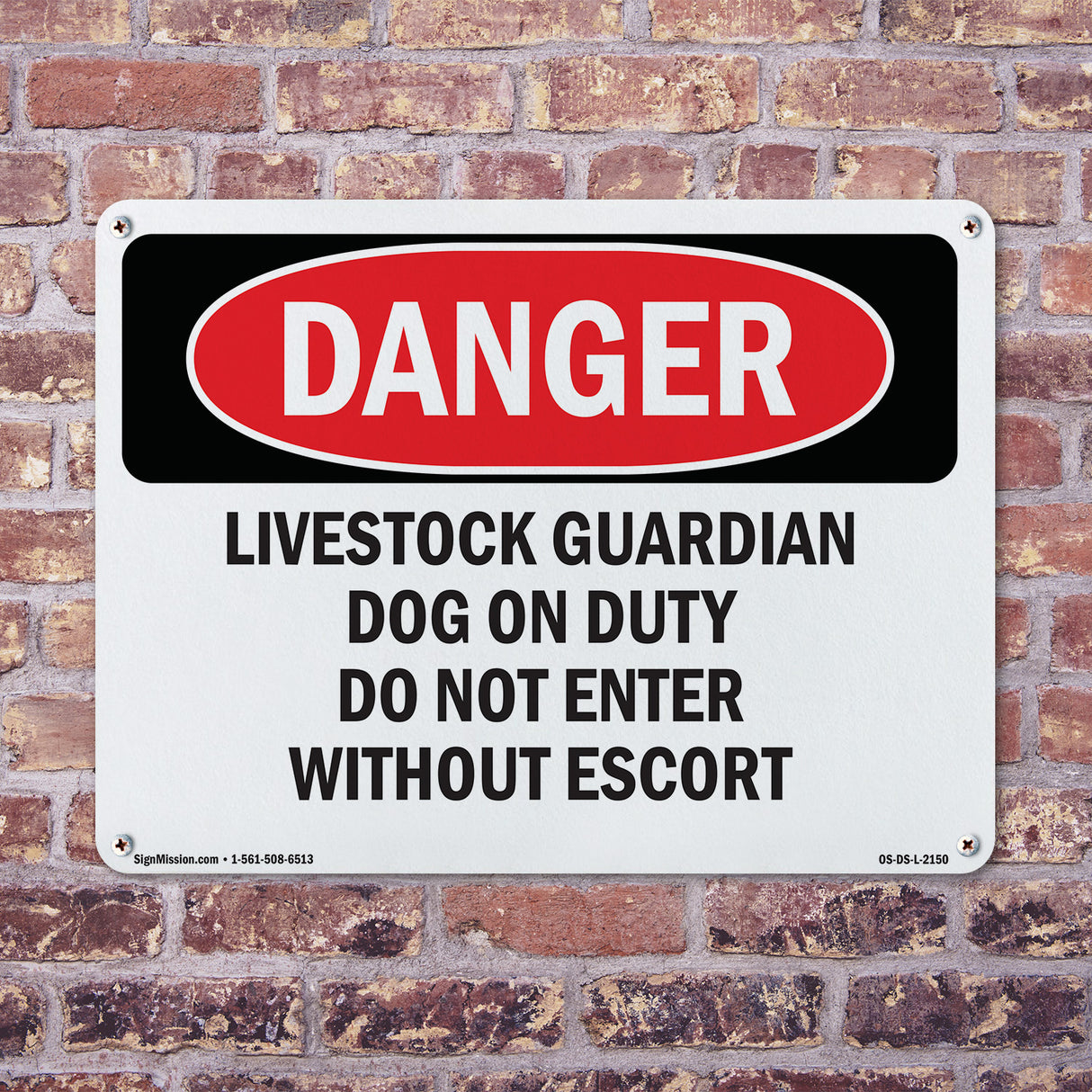 Livestock Guardian Dog On Duty Do Not Enter