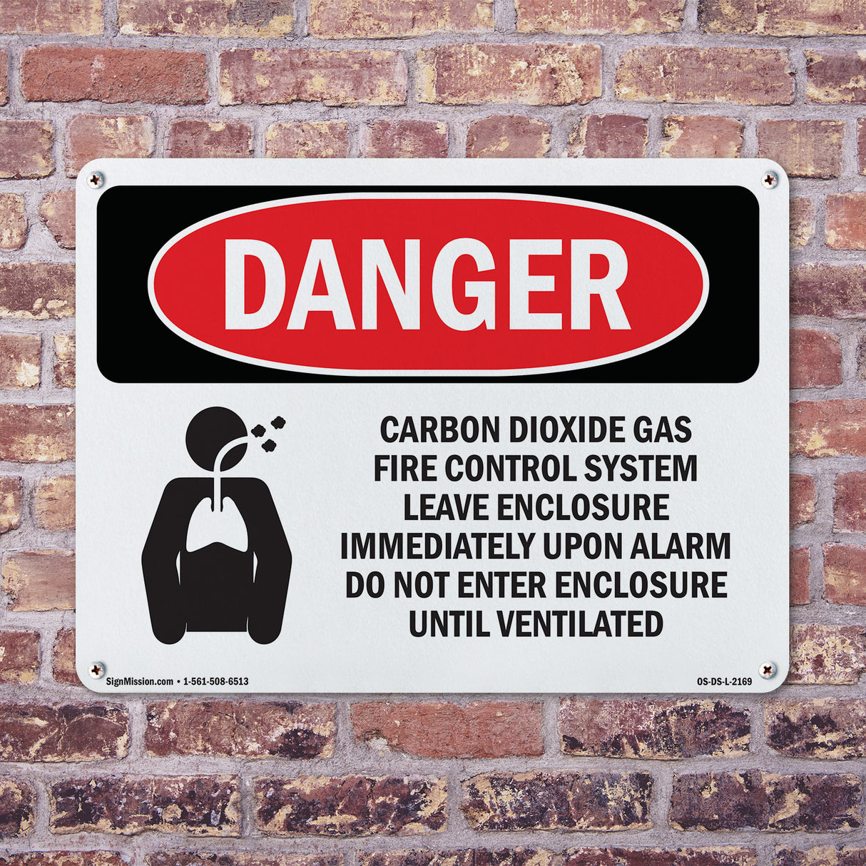 Carbon Dioxide Gas Fire