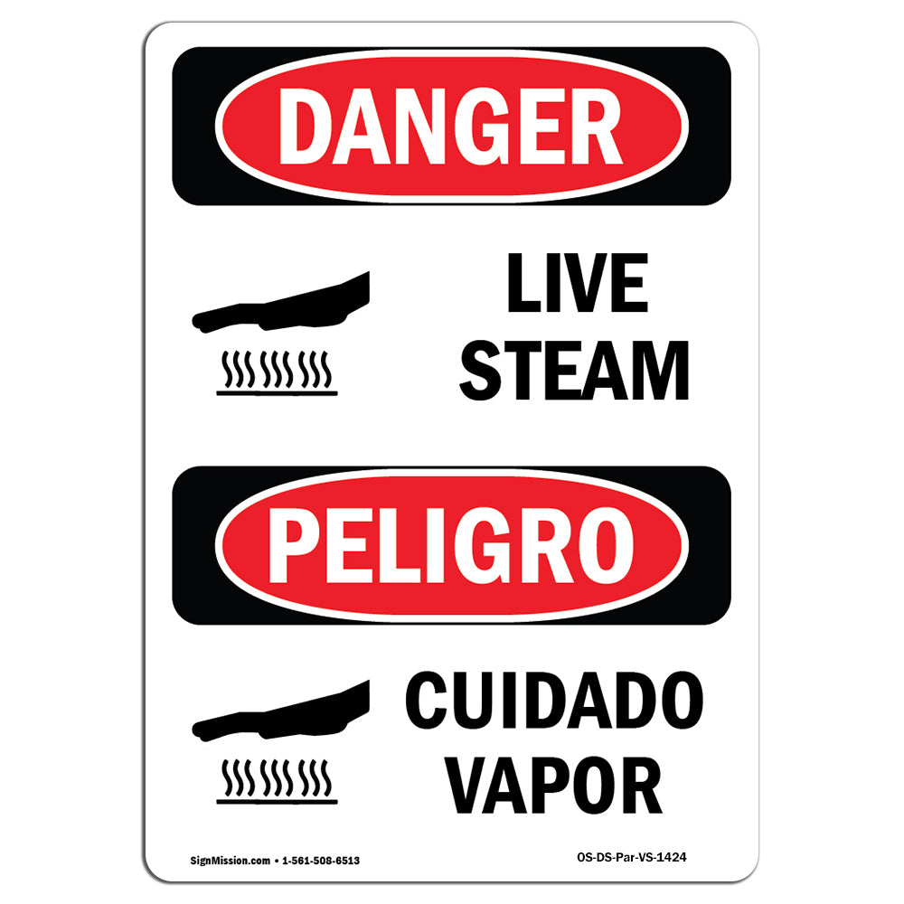 Live Steam