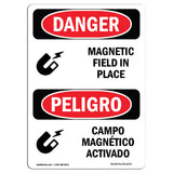 Magnetic Field In Place