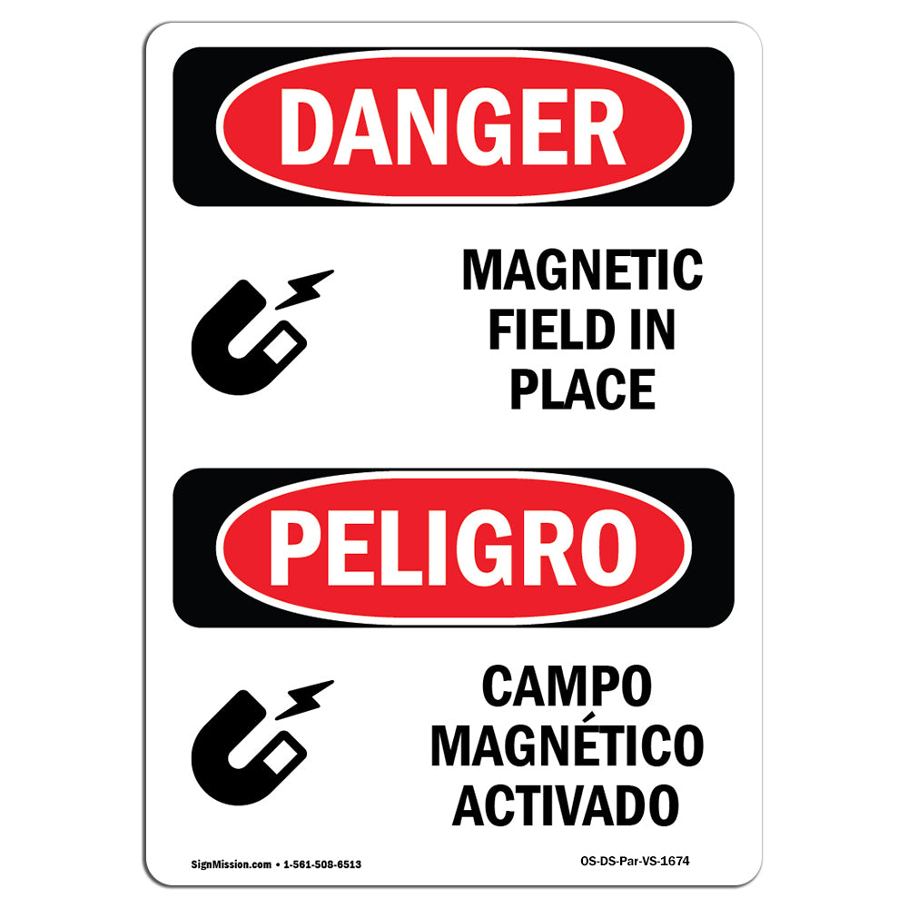 Magnetic Field In Place