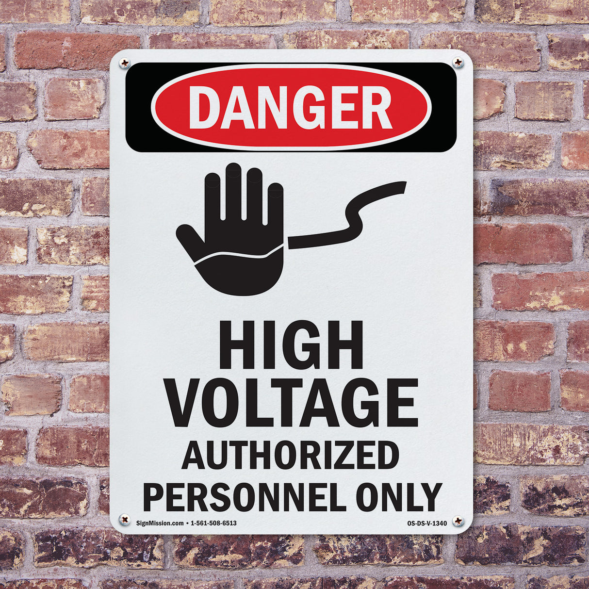 High Voltage Authorized Personnel Only