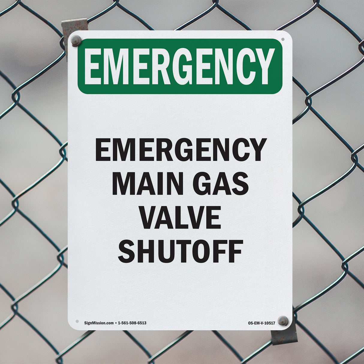 Main Gas Valve Shutoff