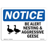 Be Alert Nesting And Aggressive Geese