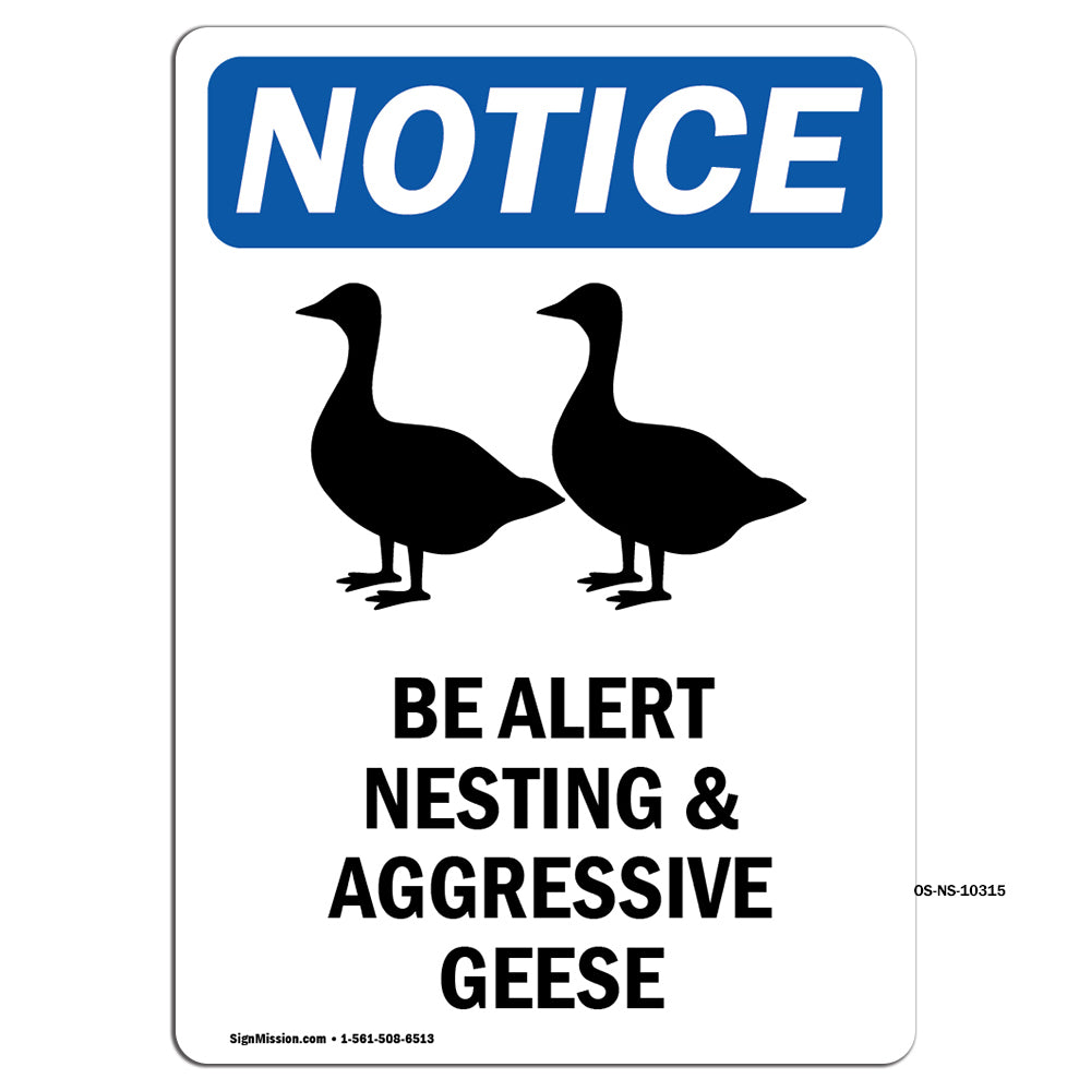 Be Alert Nesting And Aggressive Geese
