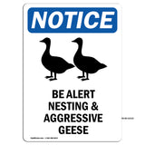 Be Alert Nesting And Aggressive Geese