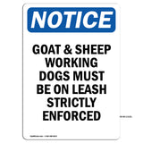 Goat & Sheep Working Dogs Must Be On Leash