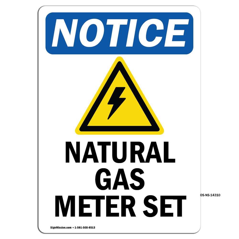 Natural Gas Meter Set